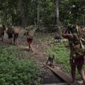 Amazonase vihmametsade puud peavad kliimasoojenemisele vastu