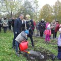 В петрозаводском парке имени 50-летия Пионерской организации появилась Аллея Нарвы