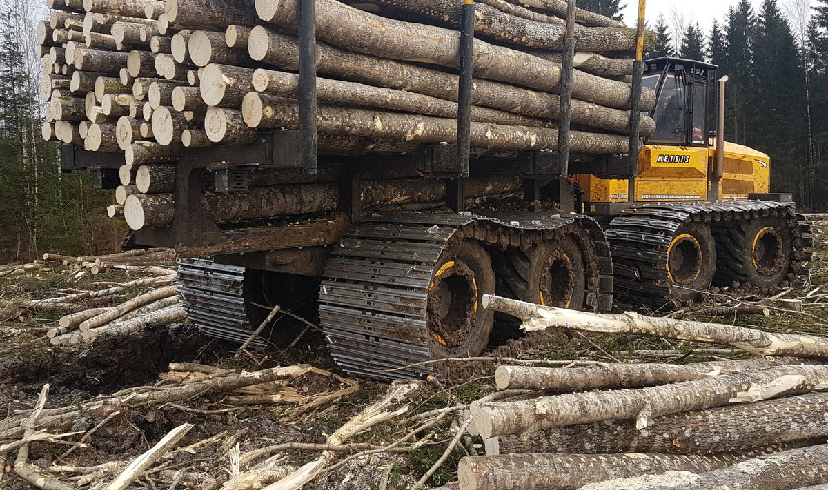 Osaühingu Prenton ekskavaatorikilpi dest ehitatud laiade lintide ja pikema vahega balanssiiriga väljaveotraktor veab puidu metsast välja ilma sügavamat jälge jätmata.