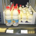 Ühistulise piimatööstuse suurprojekti toetust soovib kaks taotlejat