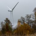 Эстонская компания Enefit Green построит в Литве свой крупнейший ветропарк