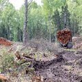 Eesti puidutööstused: ebakindel poliitiline olukord peletab investeeringuid