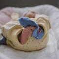 ГРАФИКИ | В прошлом году родилось меньше всего детей за последние сто лет