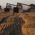 Venemaale kehtestatud sanktsioonid täidavad farmimiljardäride taskuid