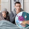 Осень – пора вирусных заболеваний: как уберечь организм от простуд?