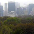 New Yorgi Central Parkis vägistati päise päeva ajal 73-aastane naine
