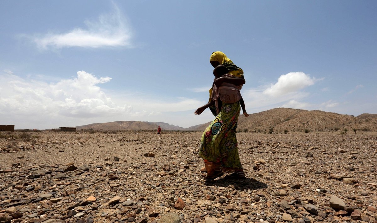 Põud Etioopias. Tänavu võimendas olukorda ilmastikunähtus El Niño, mis suurendas ühelt poolt mitmes kohas kuivust, kuid põhjustas teisalt mujal suuri üleujutusi.