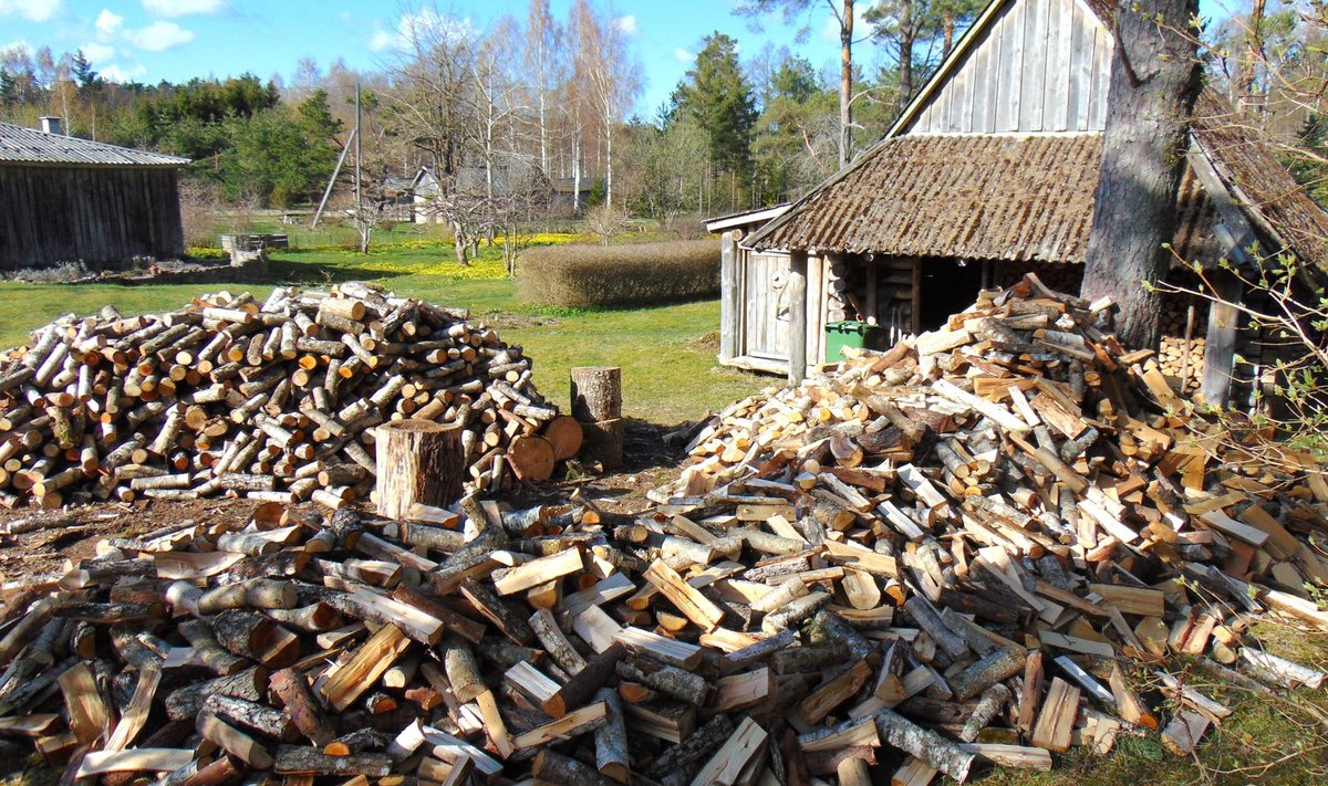 Küttepuude lõhkumine ja vedu annab füüsilist koormust ning rahalist kasu.
