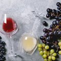 Сотни виноделен и тысячи вин со всего мира: в Таллинне пройдет винная ярмарка
