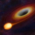 Gravitatsioonilained avastati mustade aukude ühinemisest