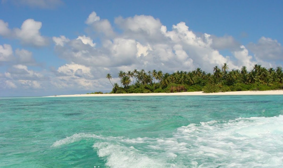 Orivaru saar Malediividel
