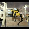 VIDEO | Siin valvan mina: koerrobot SpotMini oskab nüüd edukalt hoones patrullida