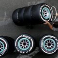 Massa: Pirelli tegi Brasiilia GP-ks väga ohtliku rehvivaliku