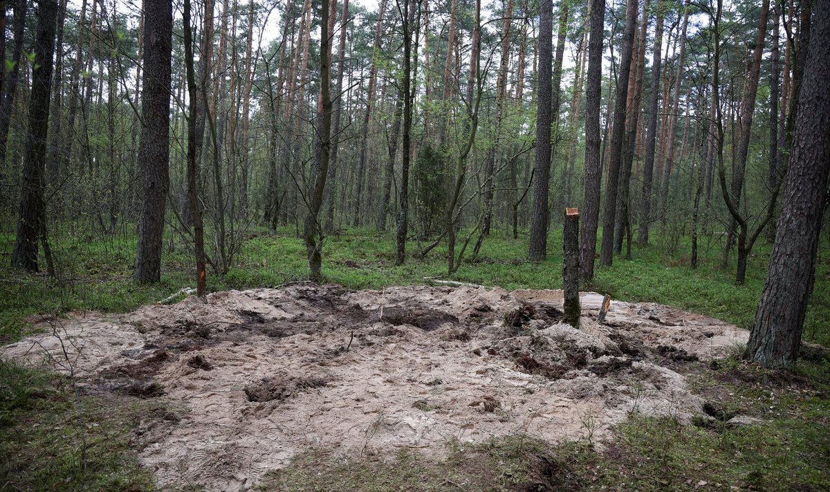 TUNDMATU SÕJALINE OBJEKT: Bydgoszczi lähedalt leiti objekt, mis nüüd on osutunud Vene raketi jäänusteks. Segane on, miks Poola võimud seda juhtumit kalevi alla tahtsid panna.