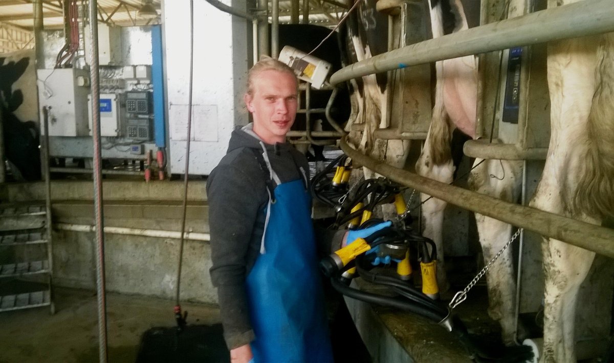 Kuldar Pärn töötab vaba- pidamisega piimafarmis, kus kari on aasta ringi väljas ja lüpsmine toimub kaks korda päevas.