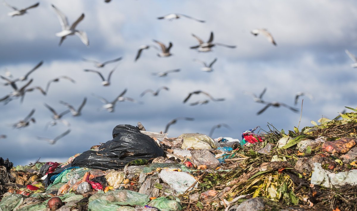 Eestit ähvardavad jälle jäätmetrahvid, kuid keskkonnakomisjon tammub endiselt midagi tegemata ümber jäätmeseaduse.
