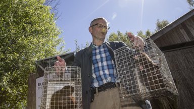 Riigikogu liikmed moodustasid loomakaitse toetusrühma