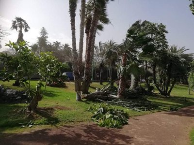 Torm murdis Tenerifel puid.