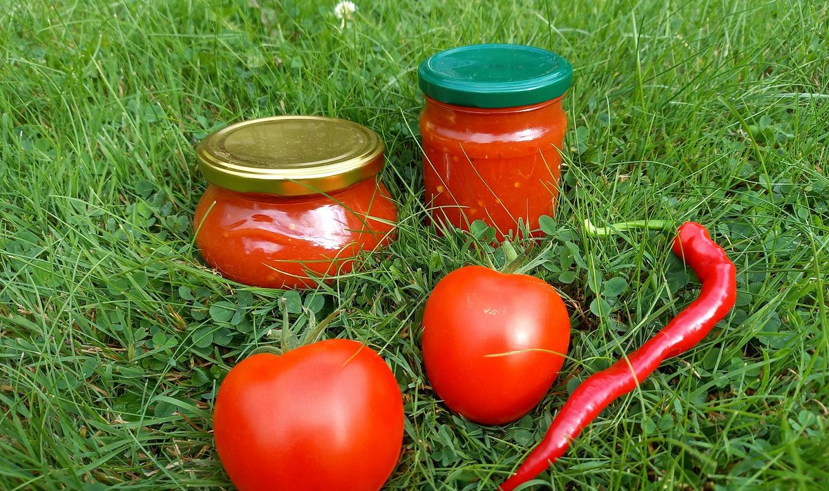 Oma aia tomatitest ja tšillist saab keeta vürtsika tšatni, mis toob talve särtsu.