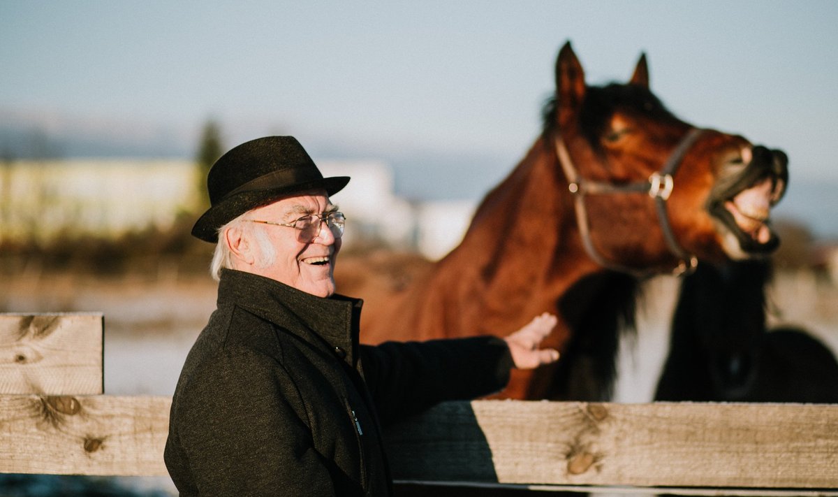 Kuigi professor Olev Savelit seostatakse eelkõige veisekasvatusega, on tema lemmikuteks ka hobused. Pildil on professoriga koos eesti raskeveohobune Vertu.