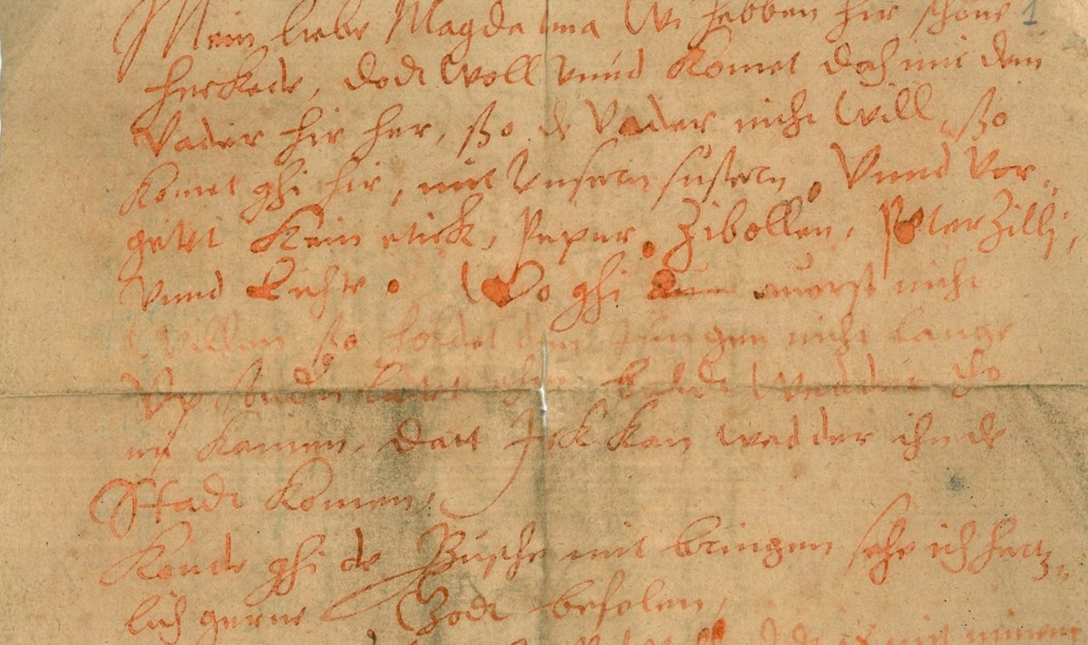 Письмо, написанное кровью 450 лет назад