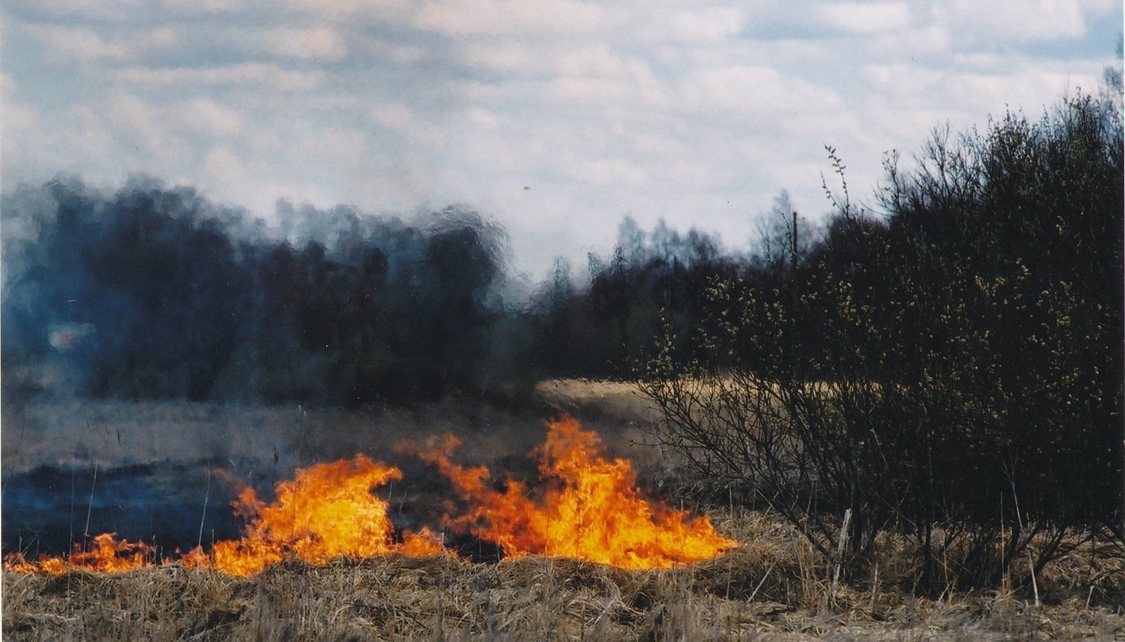 Горит пал. Пожар на открытой местности. Горит трава. Пожары в Эстонии лес. Горение сухой травы на открытой местности.