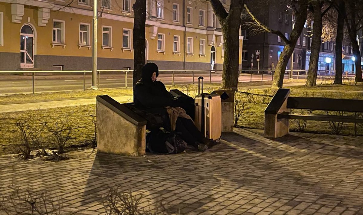 Одинокий швед сидит в Нарве у границы на скамейке. Он ищет славянскую жену и не хочет возвращаться на родину