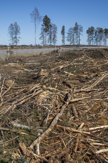 Raidmetega tugevdatud kokkuveotee