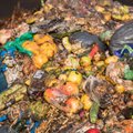 Biojäätmete sorteerimine on imelihtne, sisuliselt tuleb järgida vaid üht põhimõtet
