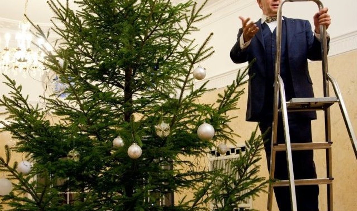 president Toomas Hendrik Ilves ehib jõulukuuske