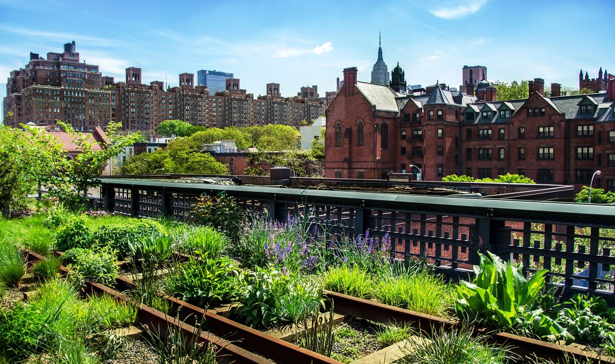 High Line’i pargist New Yorgis on kujunenud üks moodsa maastikuarhitektuuri mõjusamaid projekte.