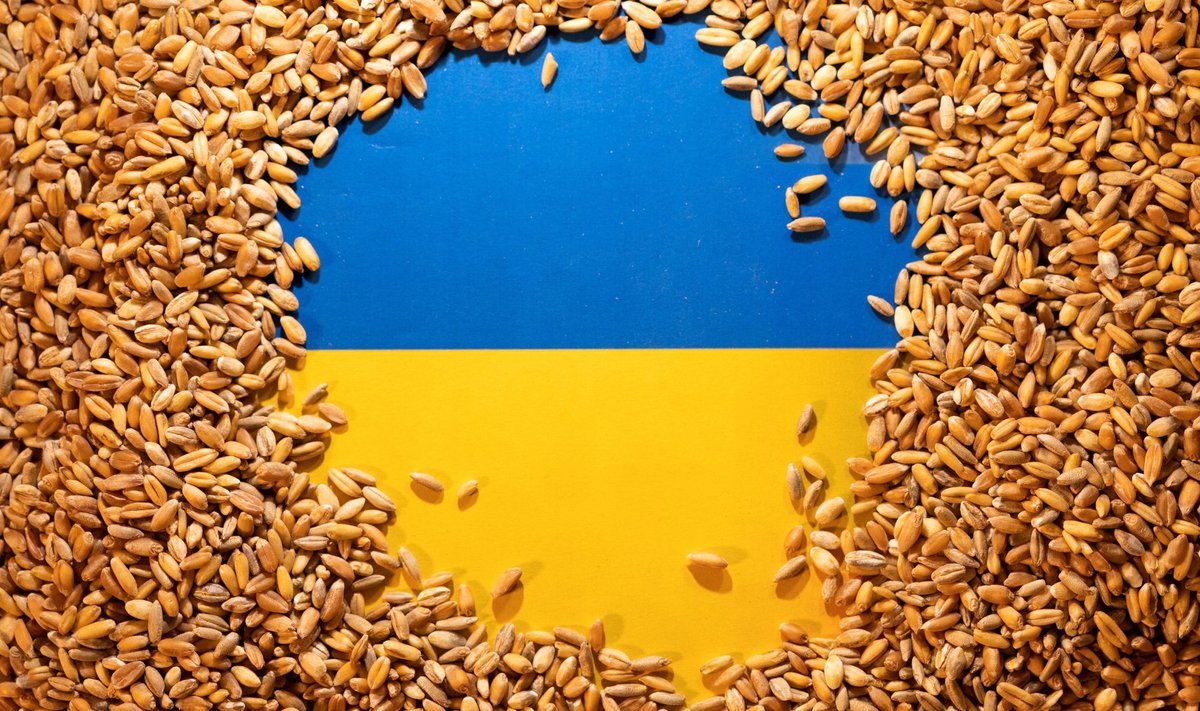 MAAILMA VILJAAIT: „Globaalne lõuna“ sööb hea isuga Ukrainas kasvatatud nisu, ent Venemaa pürgib sama turgu haarama, sh okupeeritud Ukraina osast pärit vilja abil.