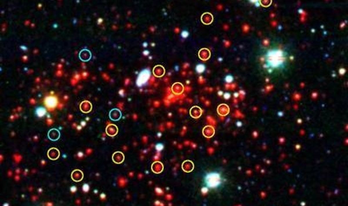 Galaktikapilv 7 miljardi valgusaasta kaugusel. Foto: NASA/JPL-Caltech/M. Brodwin