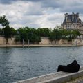 Protestijad kutsuvad üles Pariisi olümpia eel Seine`i jõkke roojama  