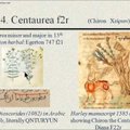 Maailma salapäraseim tekst – Voynichi käsikiri – paljastas lõpuks osa oma saladustest