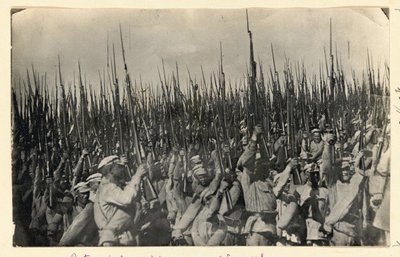 Punaarmee tähistab võitu Wrangeli üle 1920. a. Fotograaf teadmata.