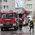 Varjupaiga kassid hukkusid Tallinnas toimunud tulekahjus