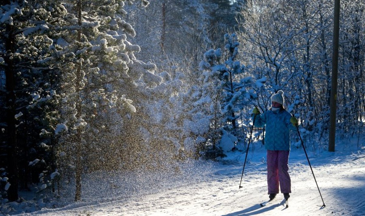 Põhja-Eestis Järve terviserajal on suusarõõmu nautimiseks lund piisavalt, kuid Otepää kandile pole taevataat esialgu veel halastanud. 