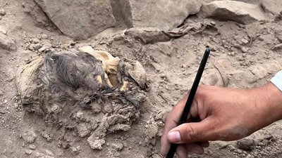 Peruust leitud muumia