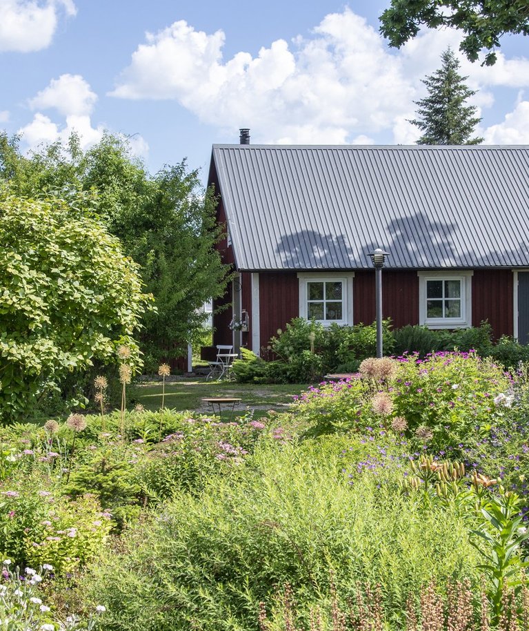 “Kauneim aed 2021”: Mikko talu aed Põlvamaal