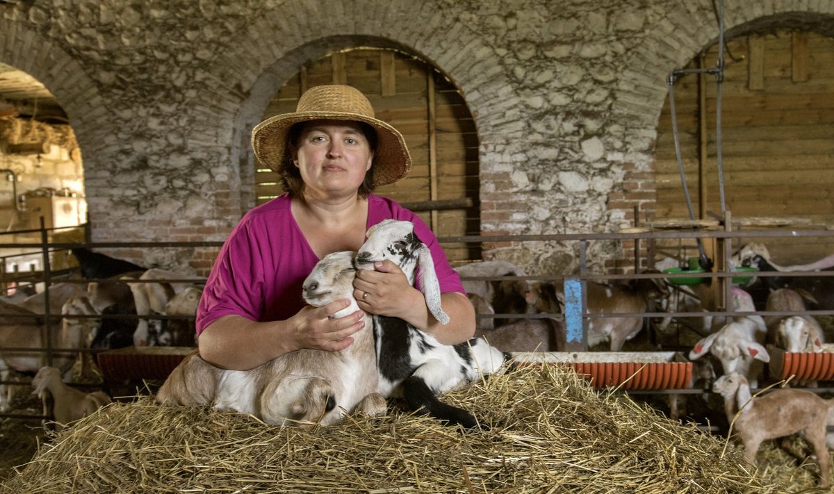 2018. aasta konkursil võitis rahvahääletusel ülekaalukalt rahvapõllumehe tiitli Üvasi talu perenaine Anne Grünberg, kes tegeleb kitsekasvatuse ja juustutootmisega Põlvamaal.