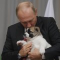 ФОТО: Путину подарили щенка алабая по кличке Верный