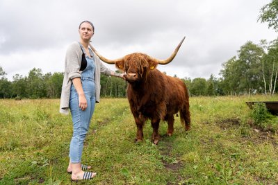 Šoti mägiveis Kossa on ülimalt sõbralik.