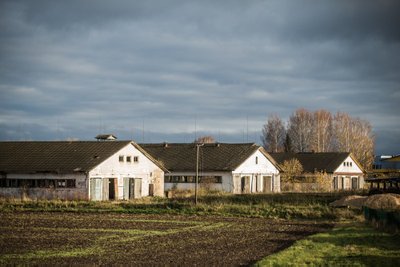 Väimela mahajäetud laudad enne põlengut.