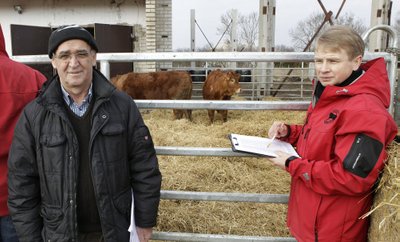 KMR Livestock Europe OÜ tõufarm Sikeldil Raplamaal