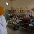 Алжир отключает интернет на время экзаменов в школах