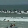 103 серфингиста на одной волне