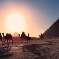 Стала известна дата отмены ковидных ограничений для въезда в Египет