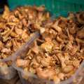 FOTOD: Turgudel valitseb seenepõud