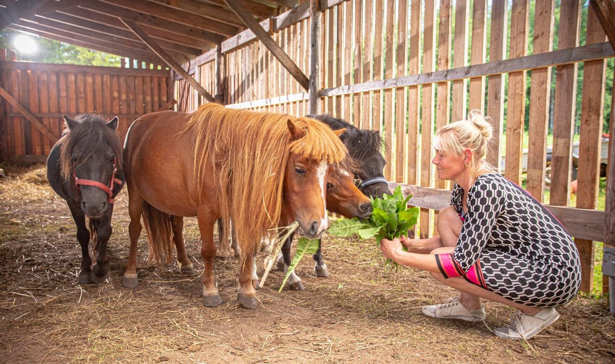 Tiiu Kõnd koos ponidega